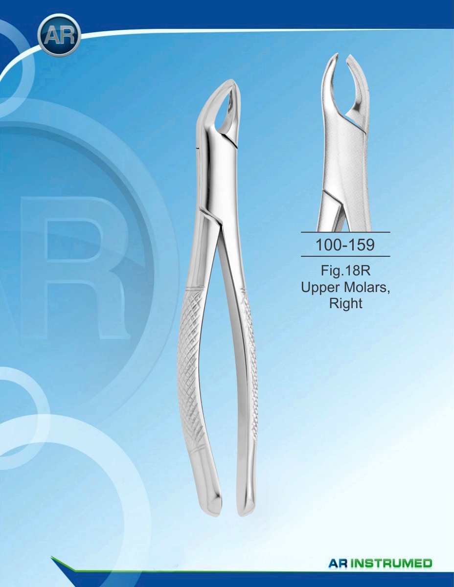 Fig.18R Upper Molars, Right