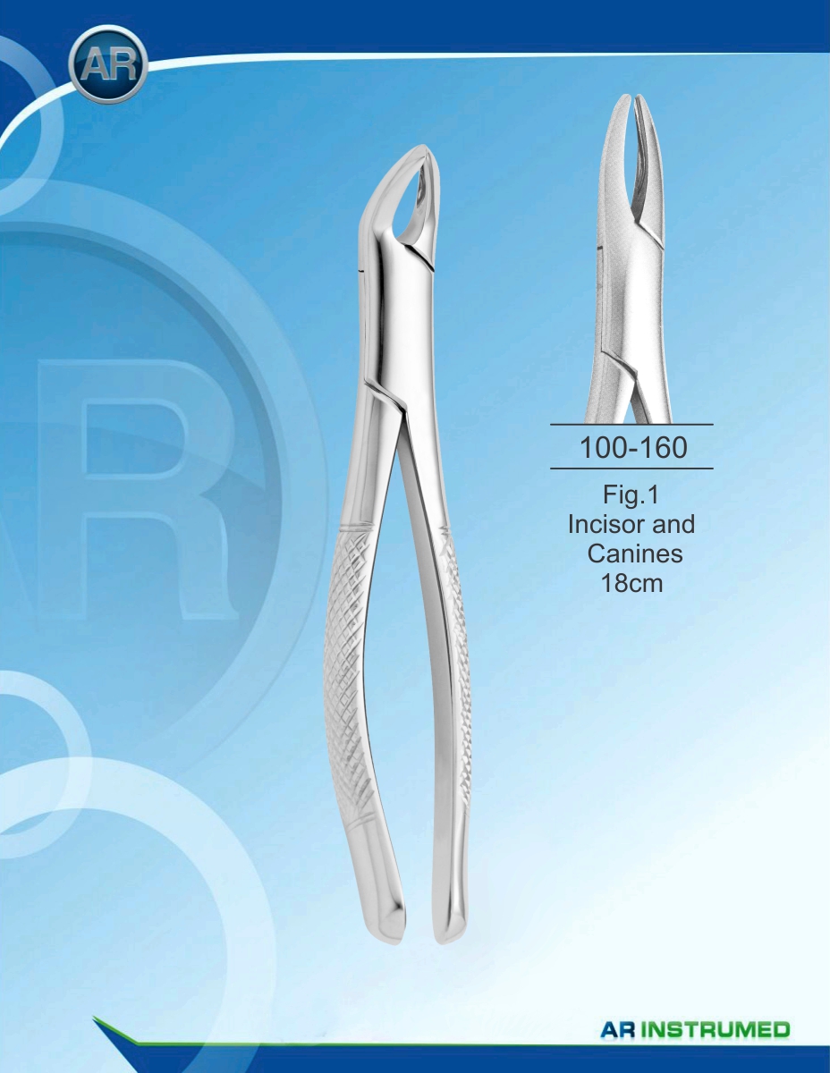 Fig.1 Incisor and Canines 18cm