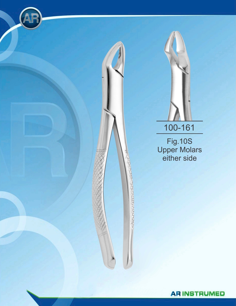 Fig.10S Upper Molars either side