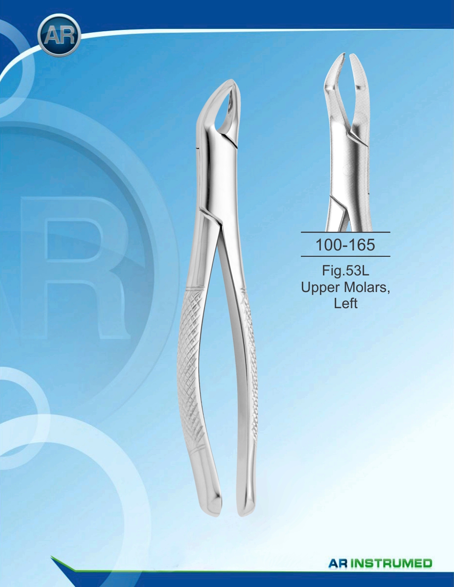 Fig.53L Upper Molars, Left