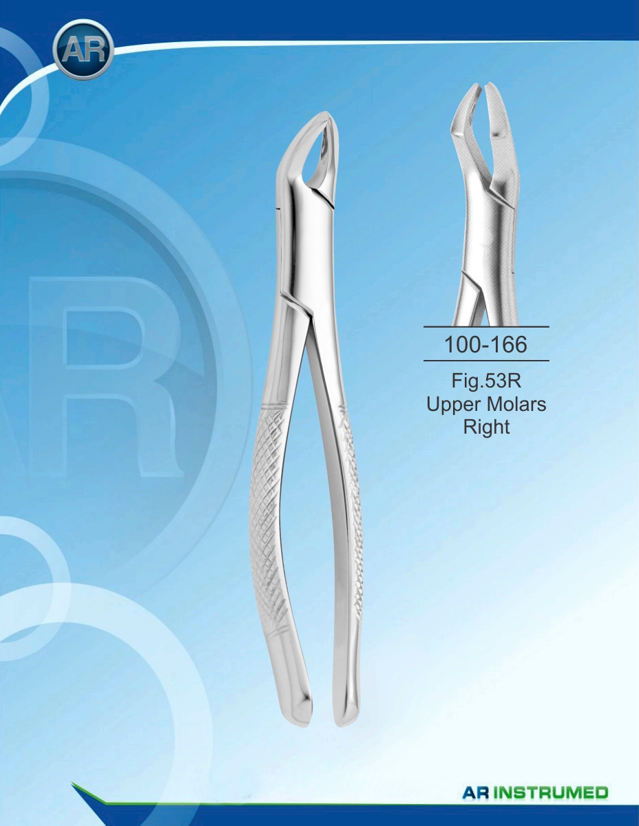 Fig.53R Upper Molars Right