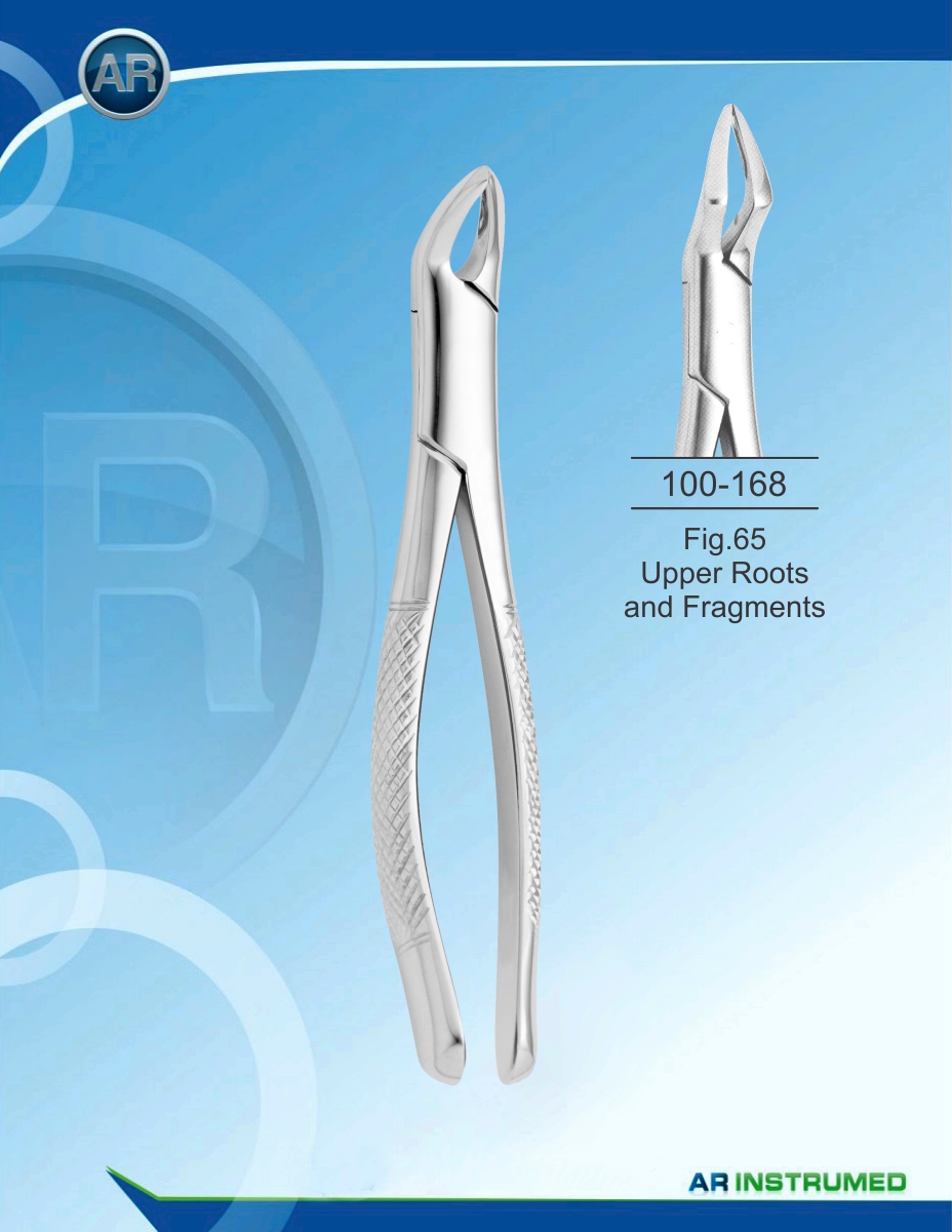 Fig.65 Upper Roots and Fragments