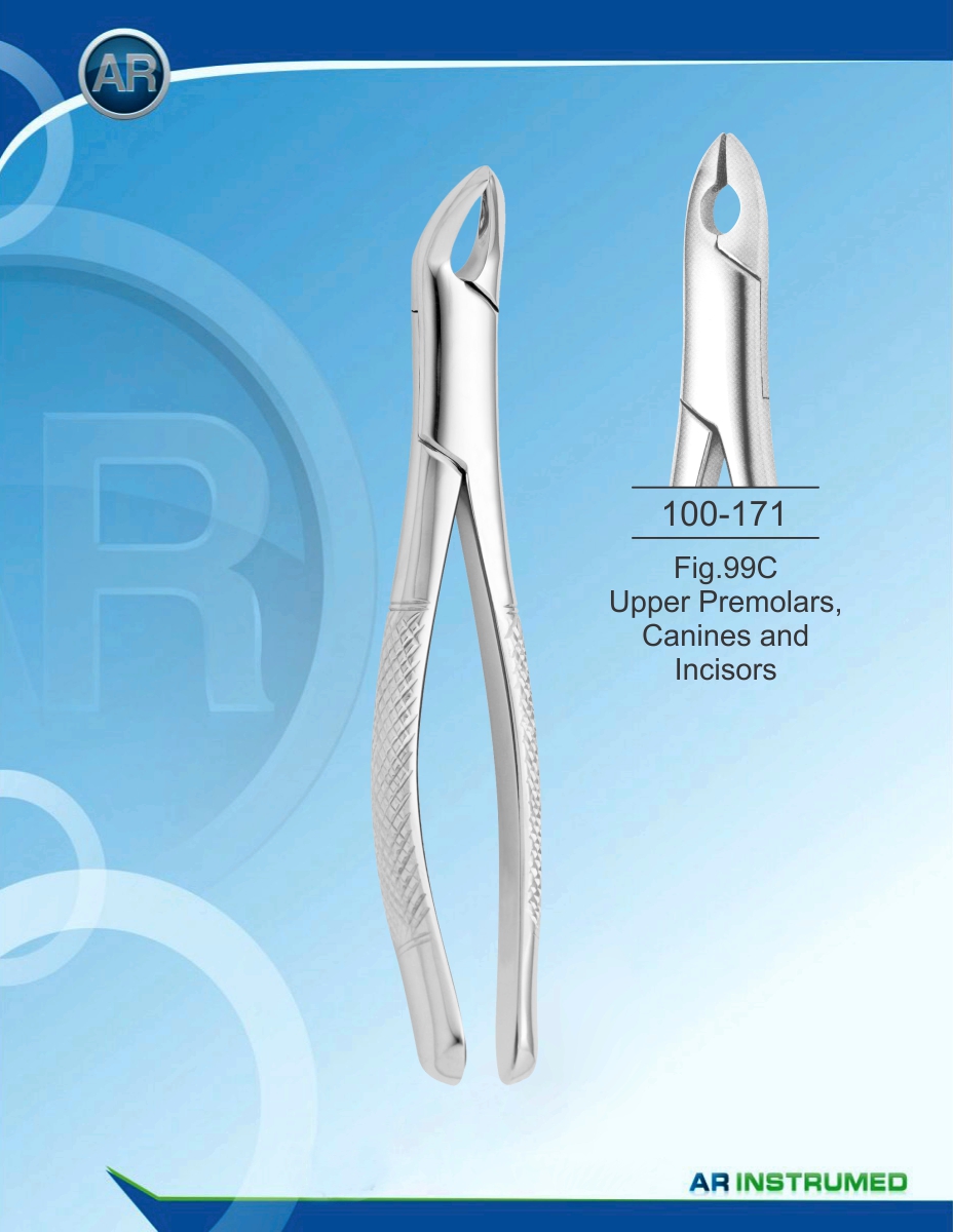 Fig.99C Upper Premolars, Canines and Incisors