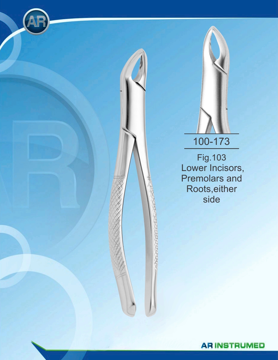 Fig.103 Lower Incisors, Premolars and Roots,either side