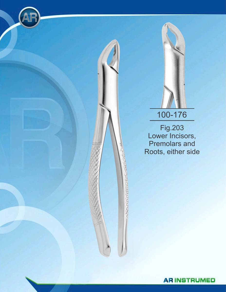 Fig.203 Lower Incisors, Premolars and Roots, either side