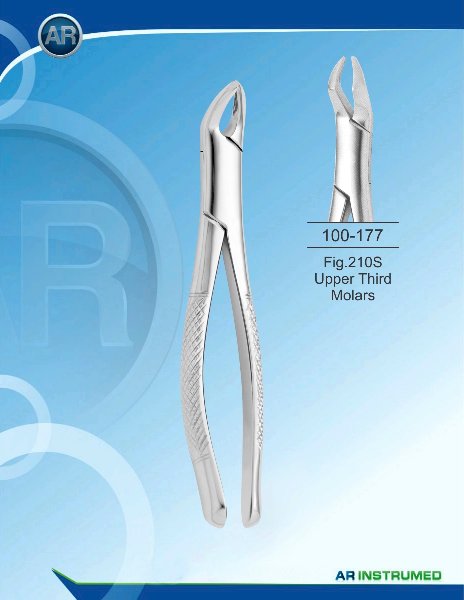 Fig.210S Upper Third Molars