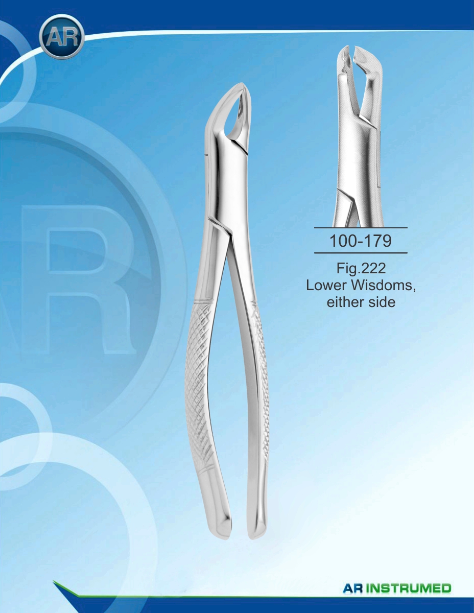 Fig.222 Lower Wisdoms, either side