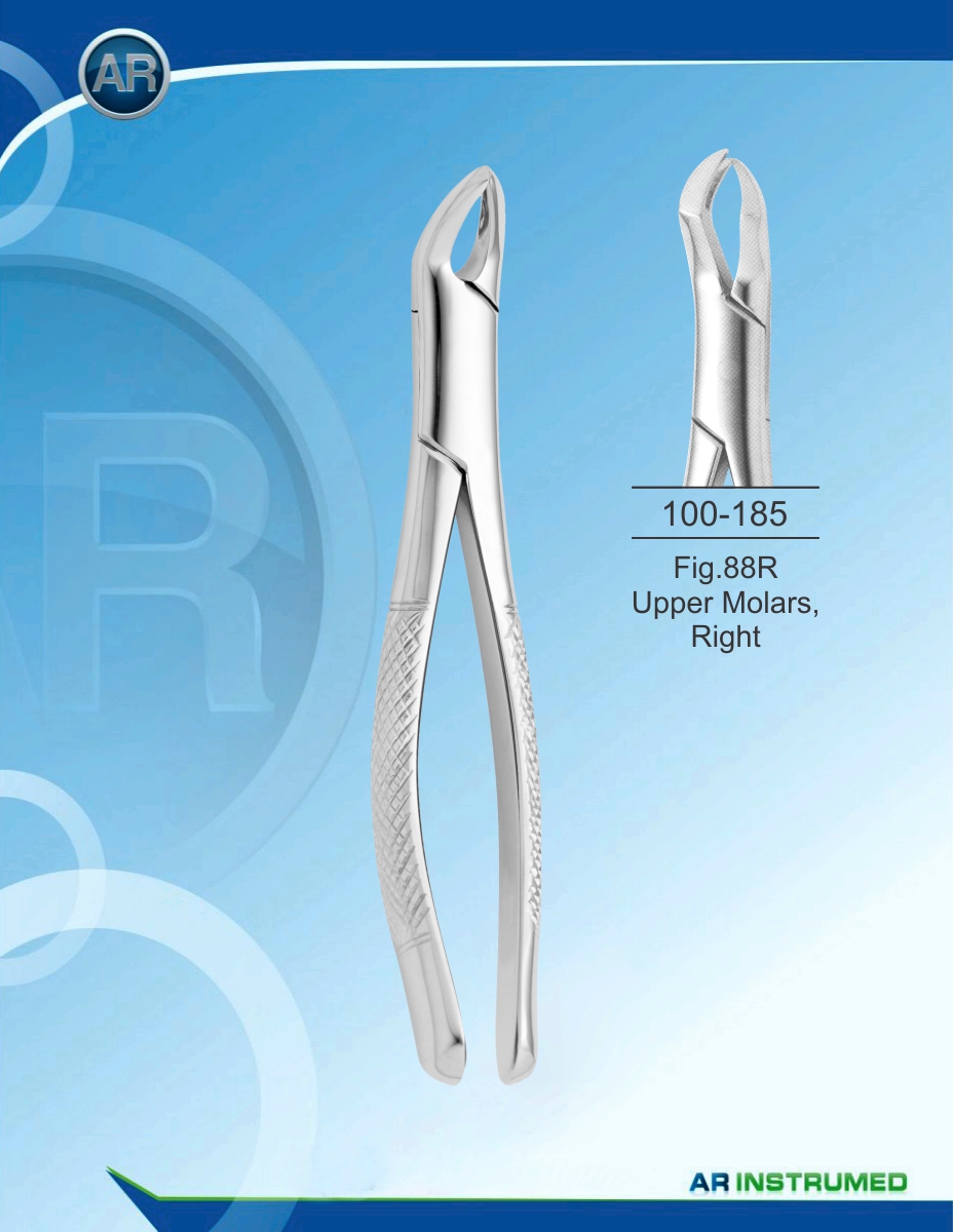 Fig.88R Upper Molars, Right