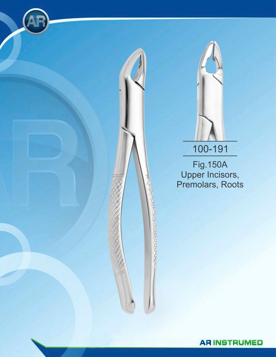 Fig.150A Upper Incisors, Premolars, Roots
