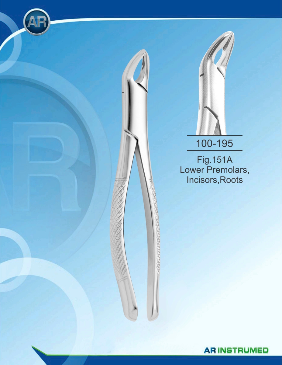 Fig.151A Lower Premolars, Incisors,Roots
