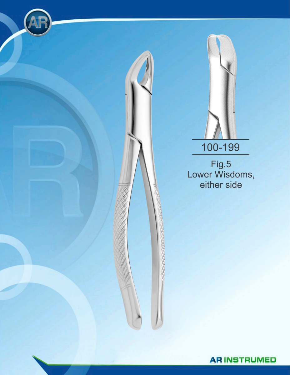 Fig.5 Lower Wisdoms, either side