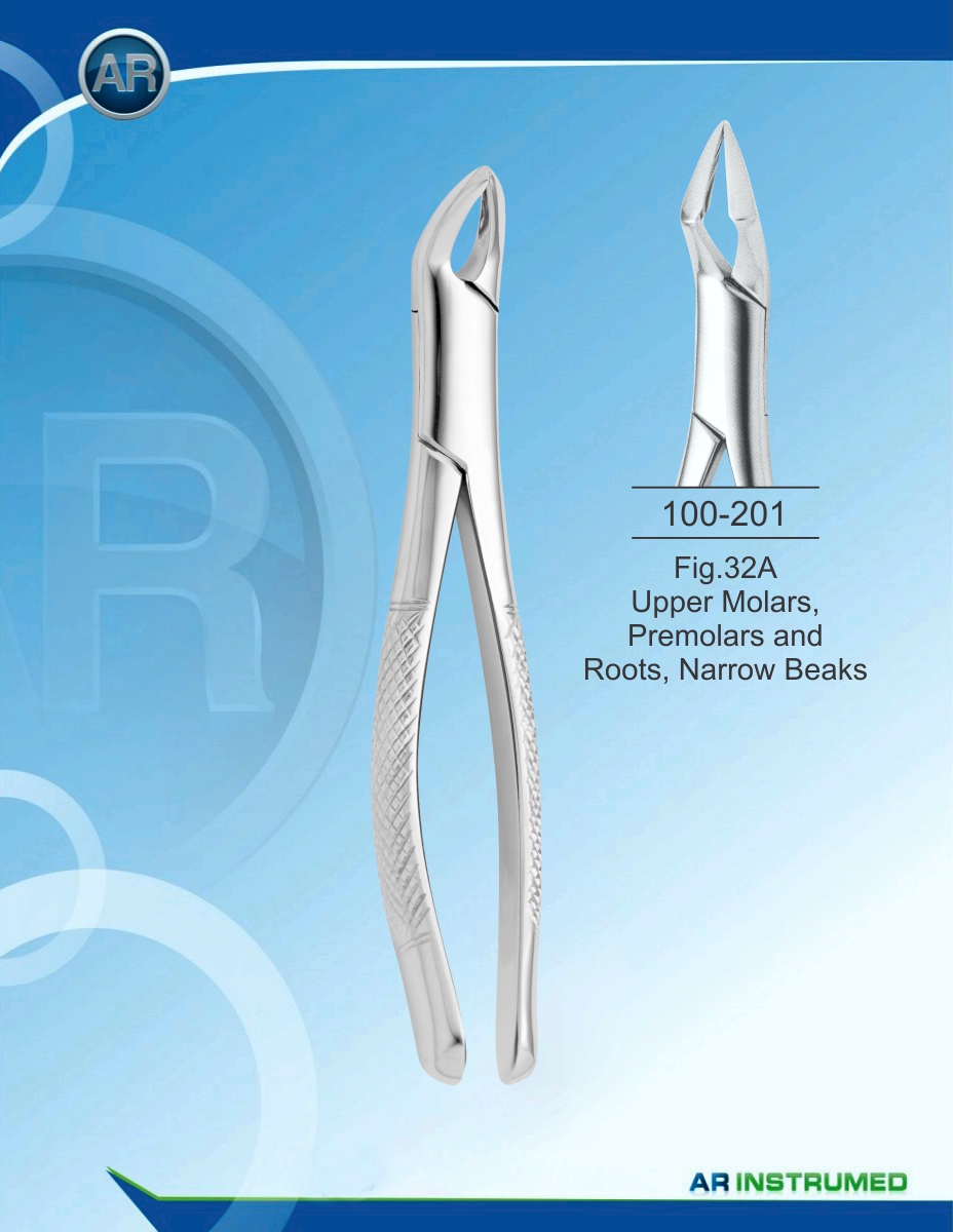 Fig.32A Upper Molars, Premolars and Roots, Narrow Beaks