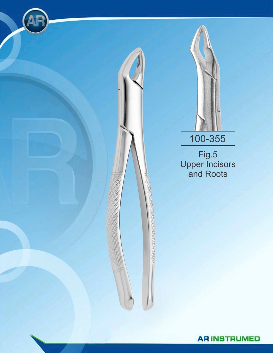 Fig.5 Upper Incisors and Roots Children