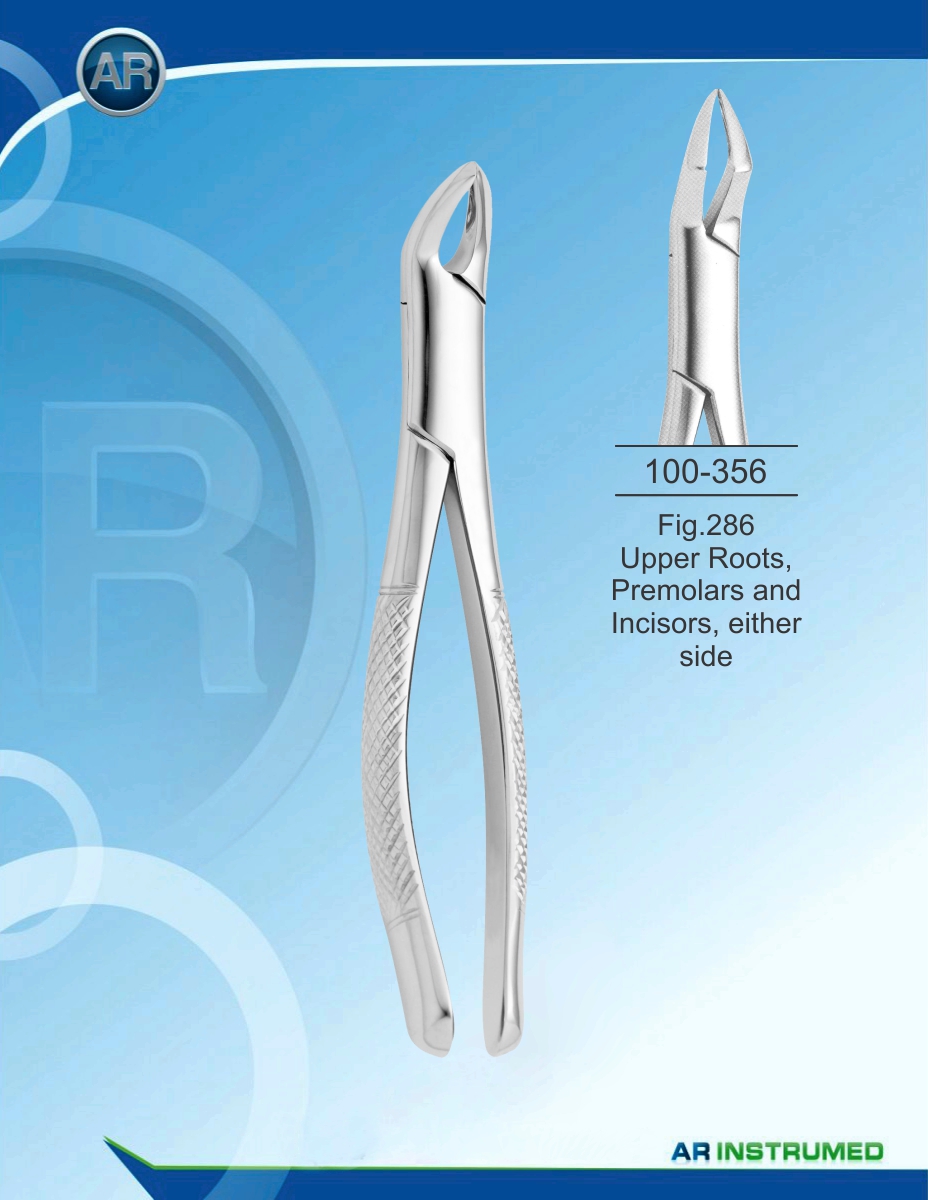 Fig.286 Upper Roots, Premolars and Incisors, either side
