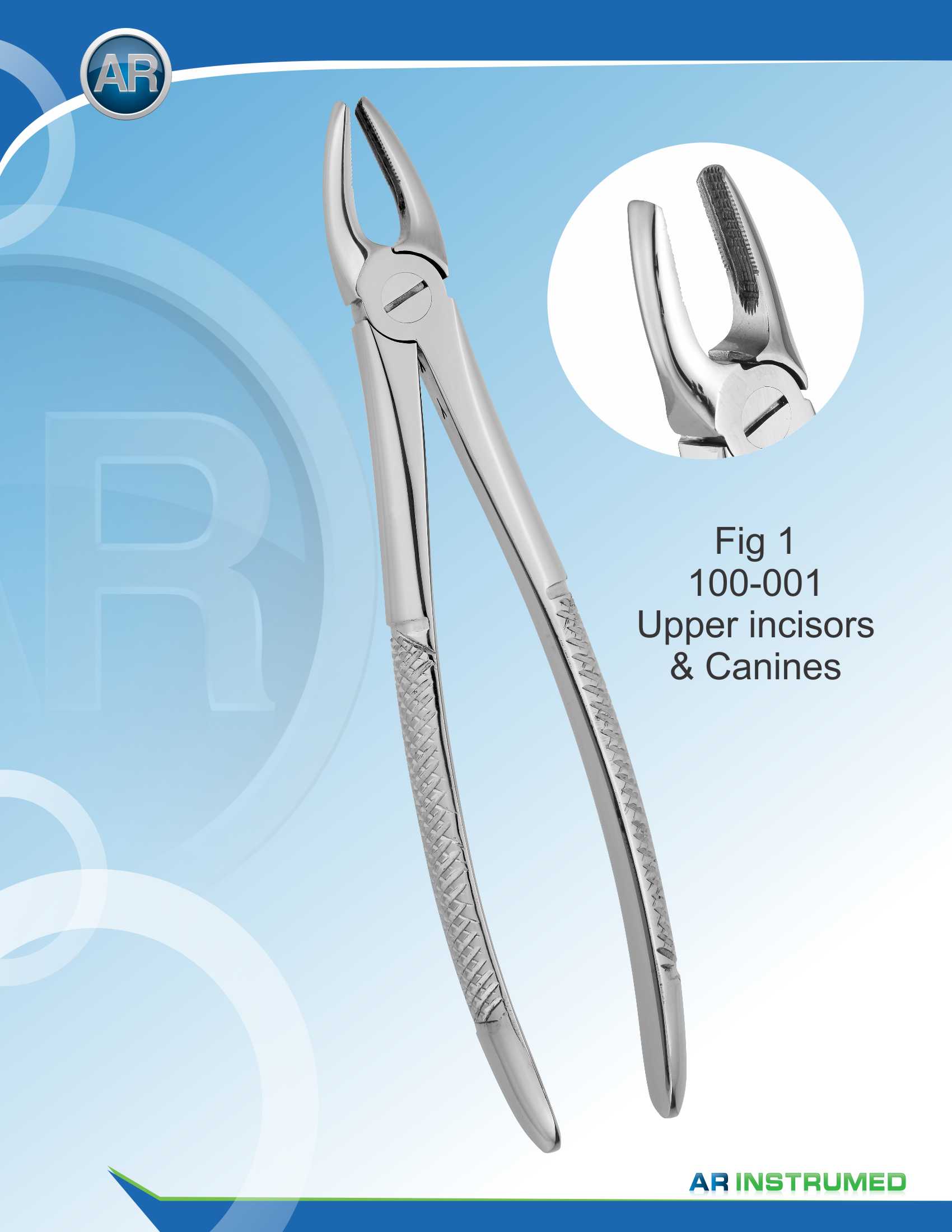 Fig.1 Upper Incisors &amp; Canines
