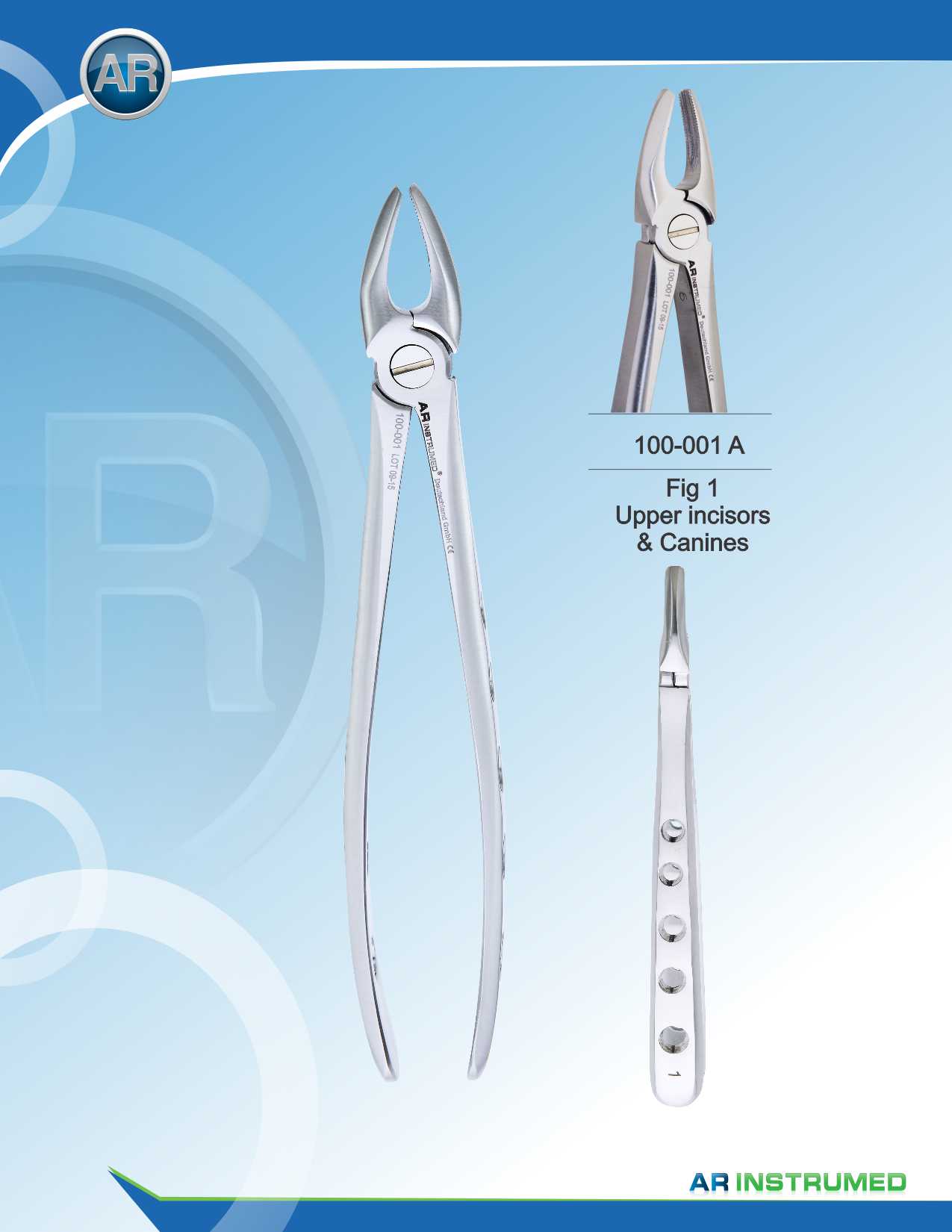 Fig.1 Upper Incisors &amp; Canines 16.5cm