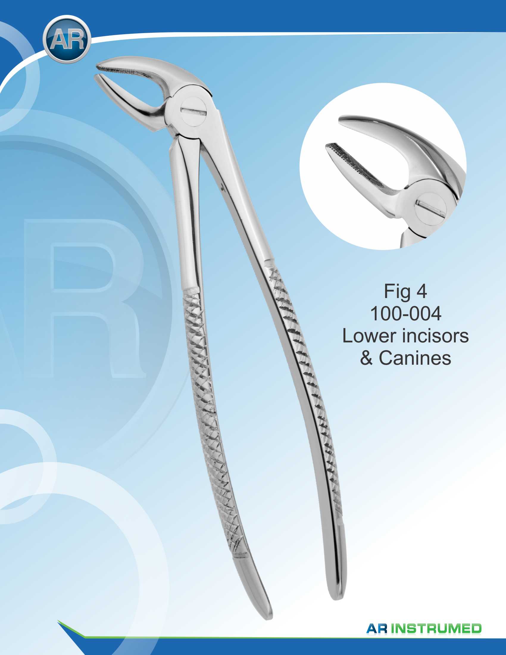 Fig.4 Lower Incisors &amp; Canines