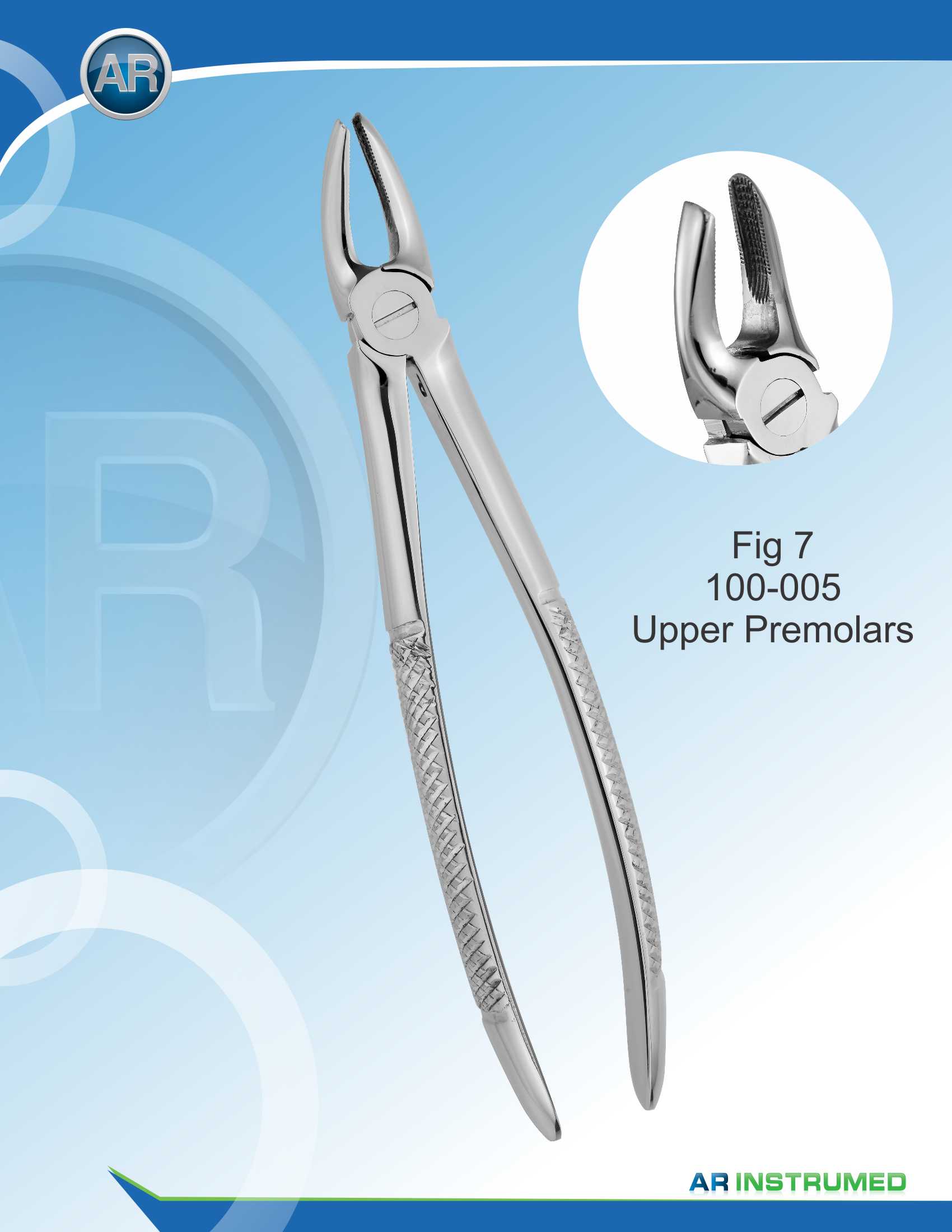 Fig.7 Upper Premolars