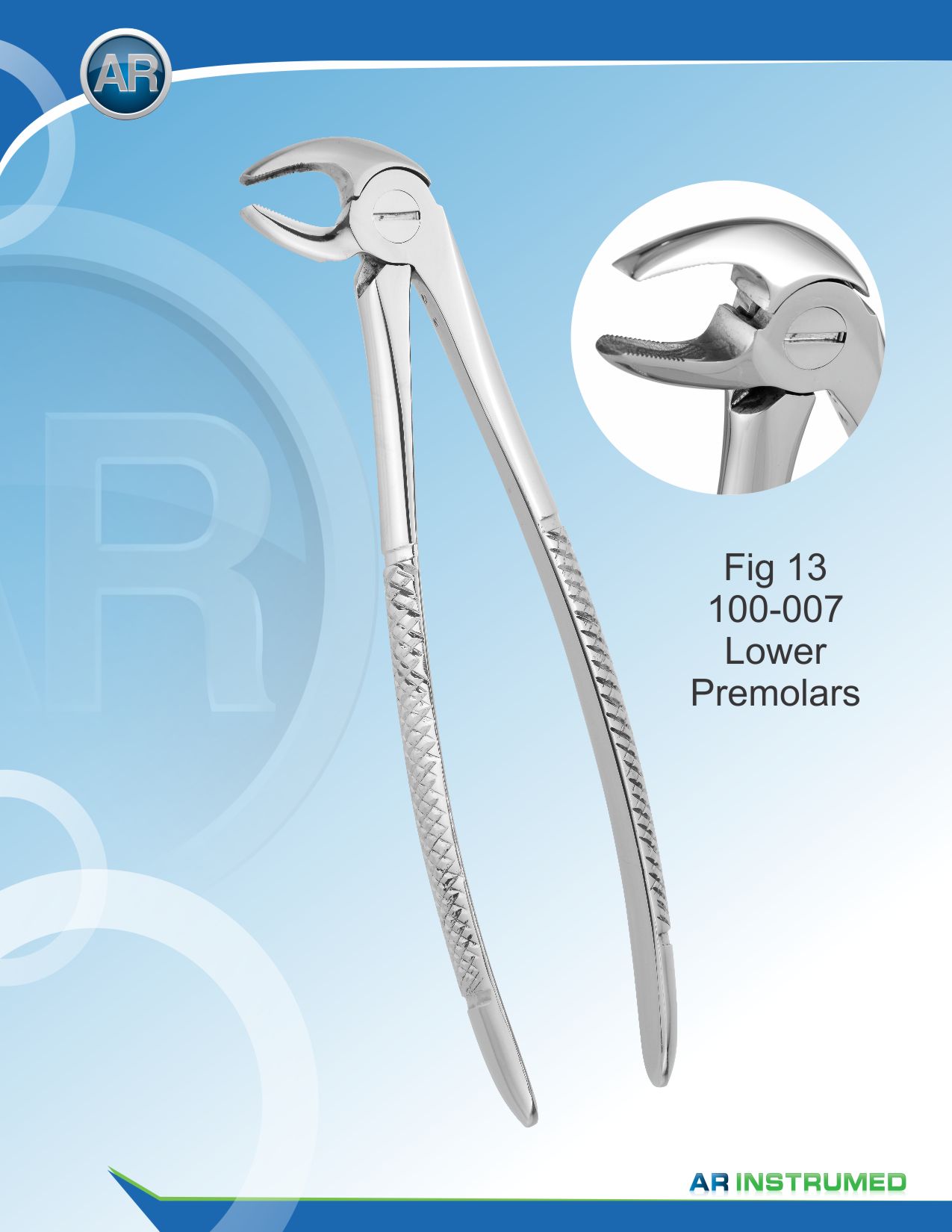 Fig.13 Lower Premolars