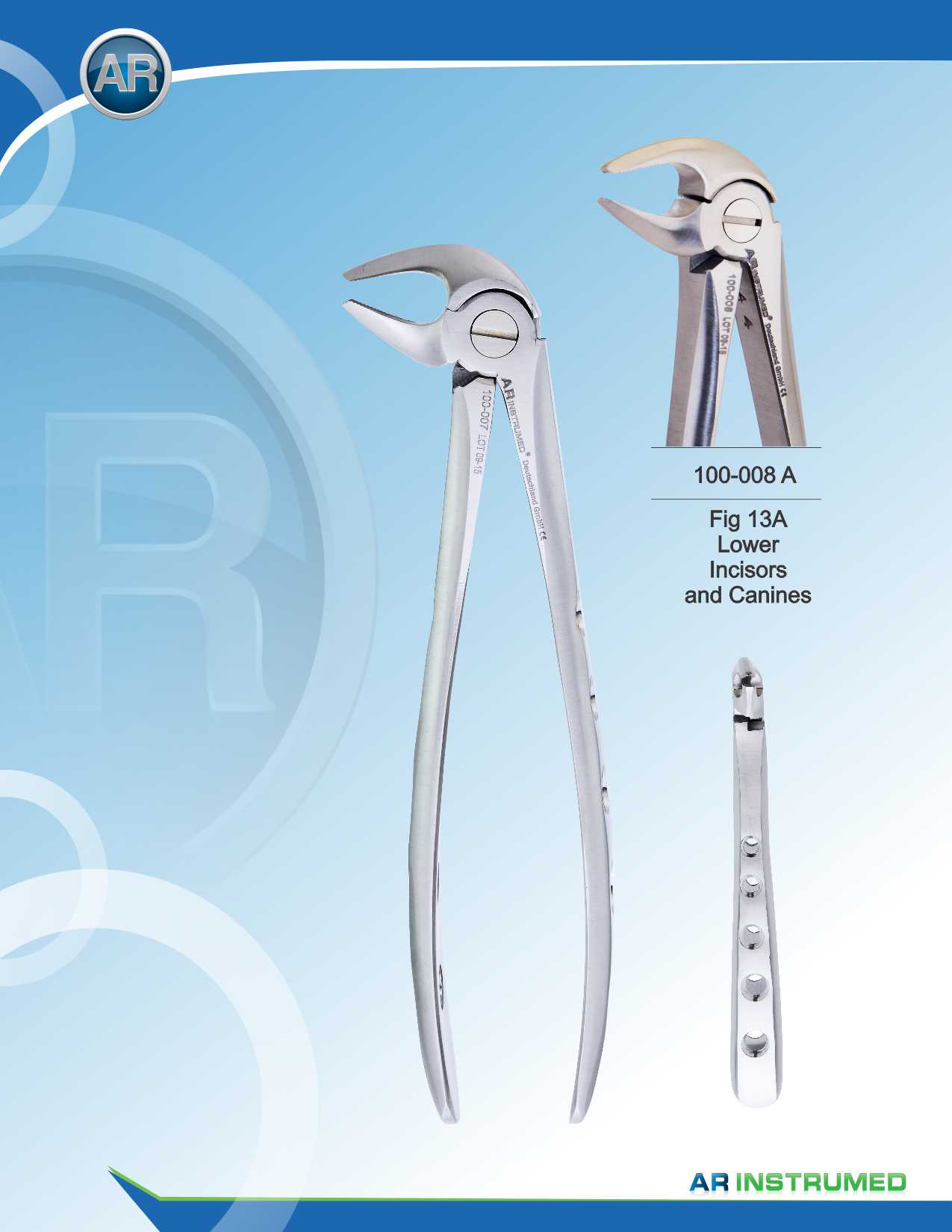 Fig.13A Lower Incisors &amp; Canines