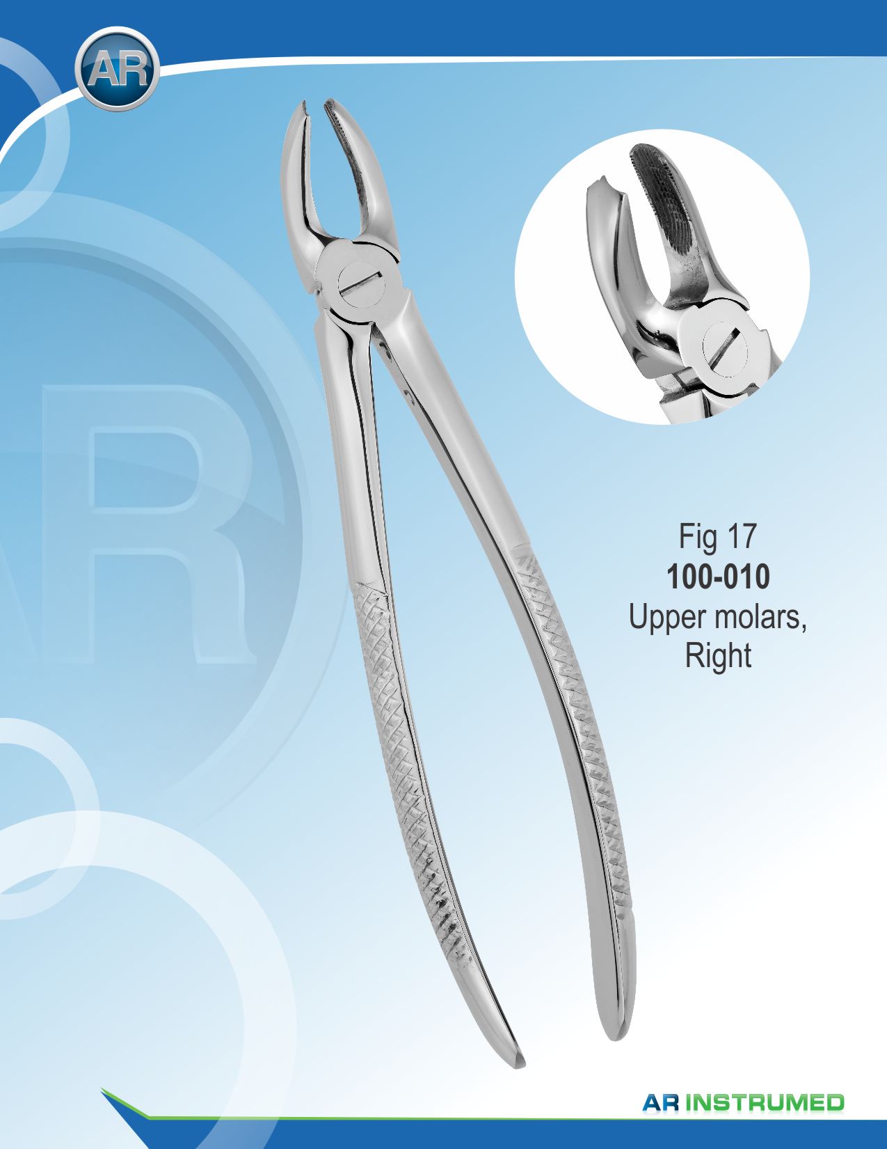 Fig.17 Upper Molars Right
