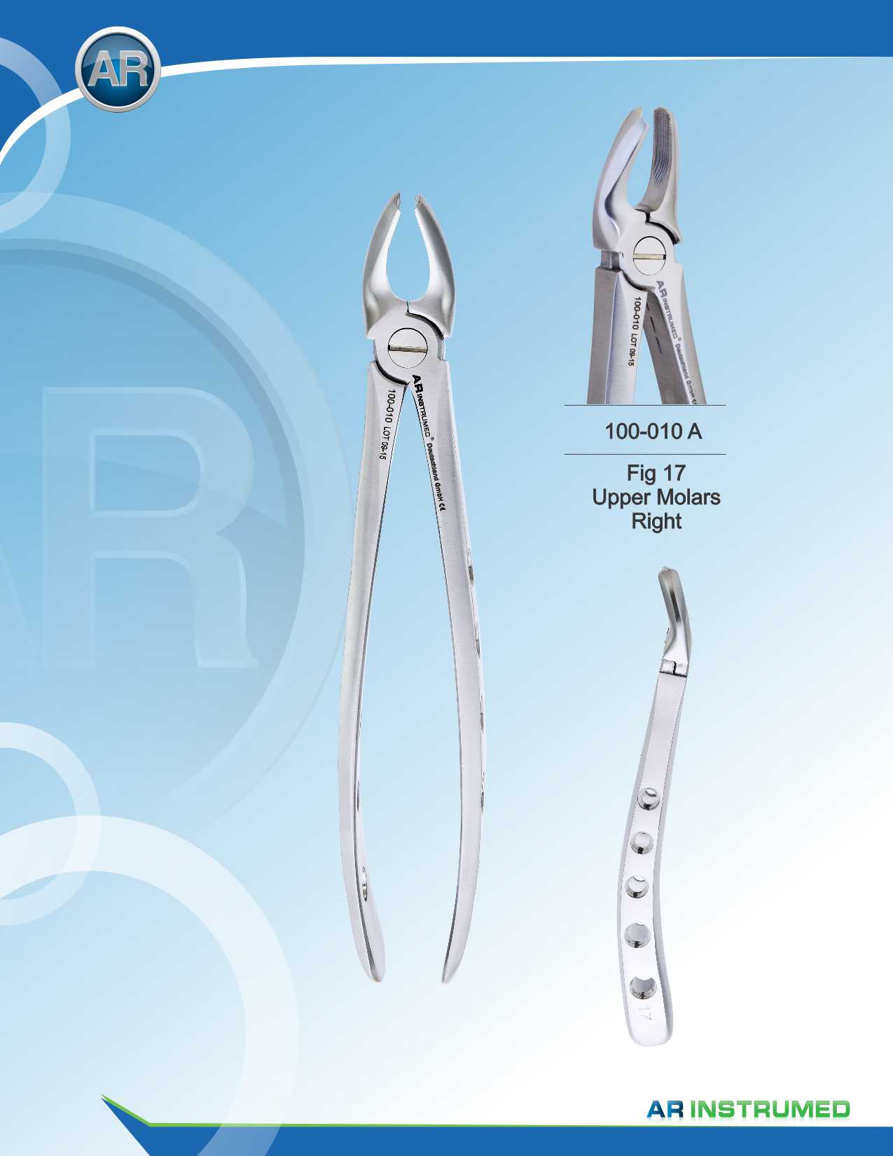 Fig.17 Upper Molars Right 16.5cm