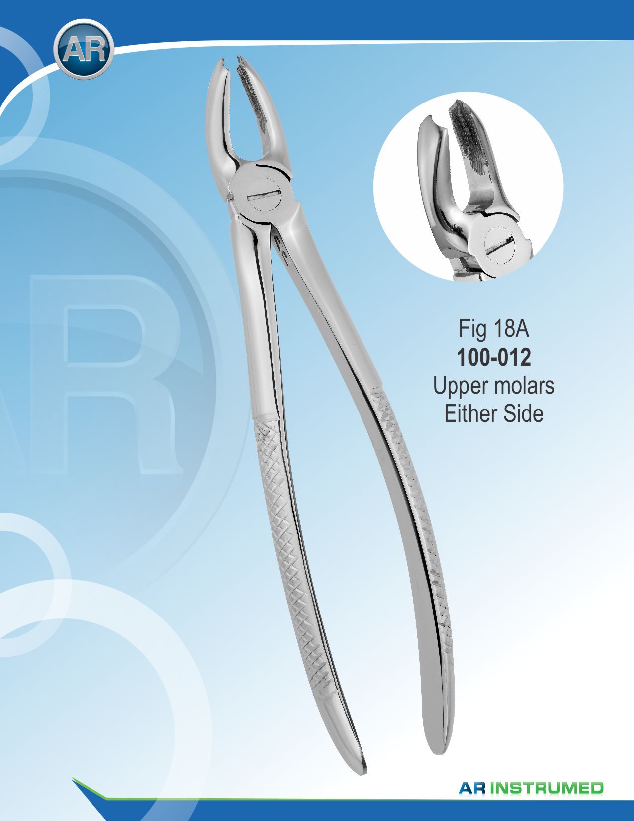 Fig.18A Upper Molars Either Side