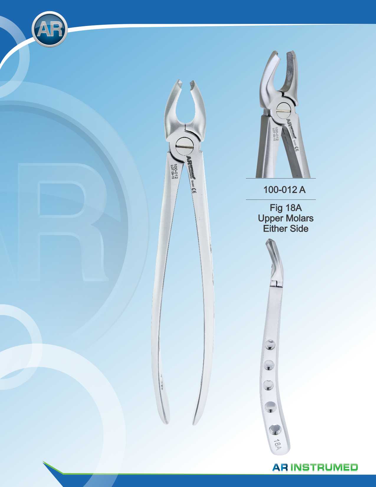 Fig.18A Upper Molars Either Side 16.5cm