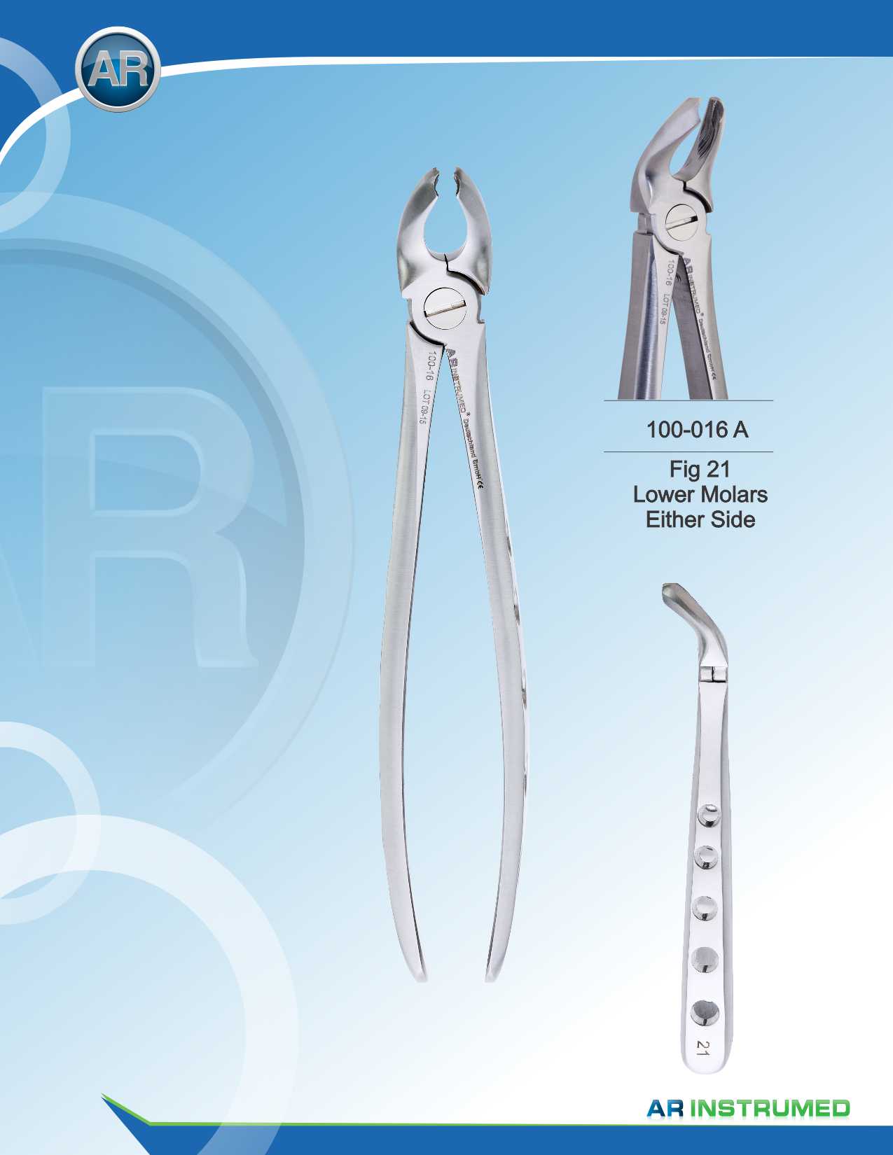 Fig.21 Lower Molars Either Side