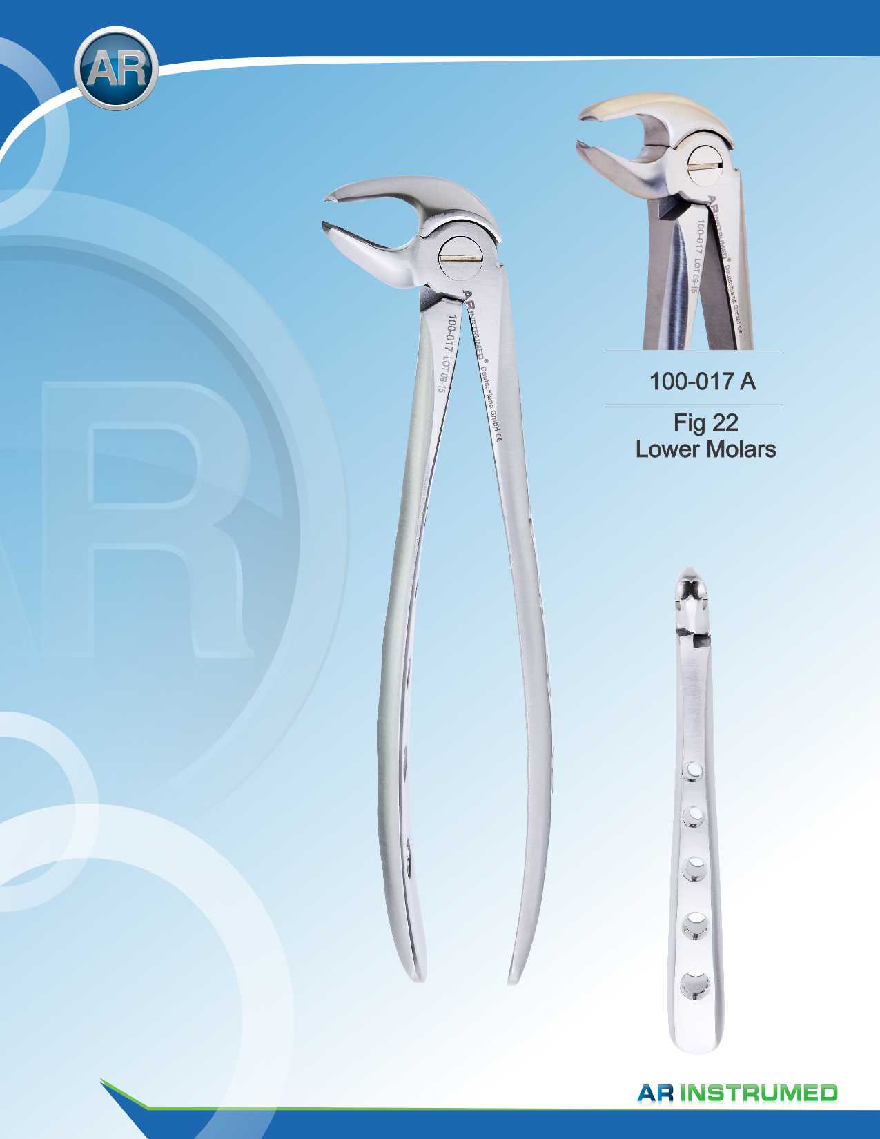 Fig.22 Lower Molars 16.5cm