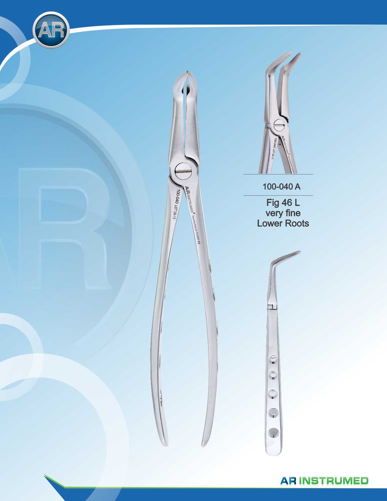 Fig.46L Very Fine Lower Roots