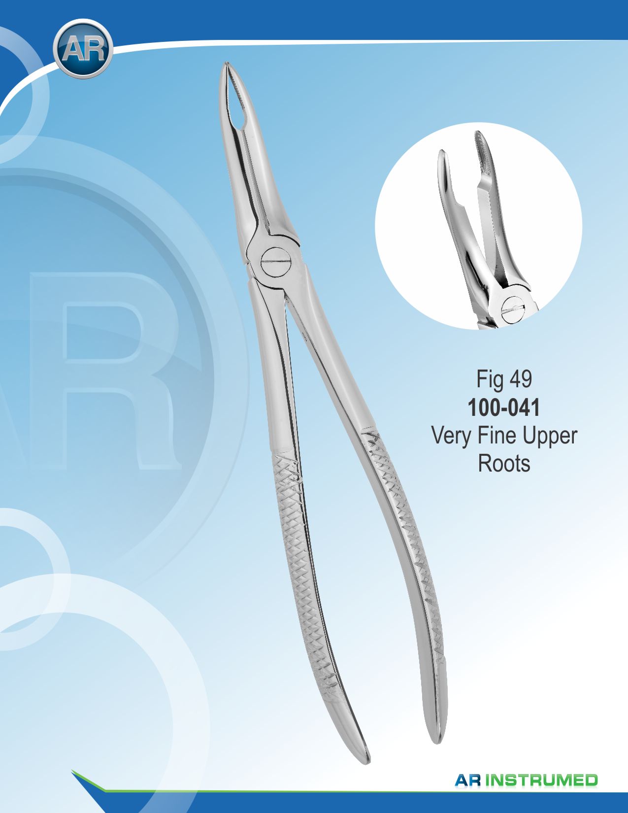 Fig.49 Very Fine Upper Roots