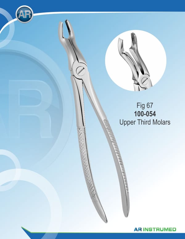Fig.67 Upper Third Molars 18cm