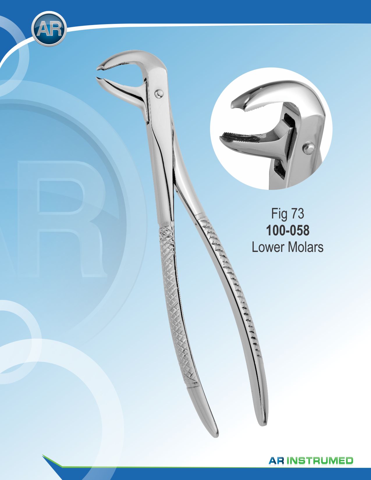 Fig.73 Lower Molars