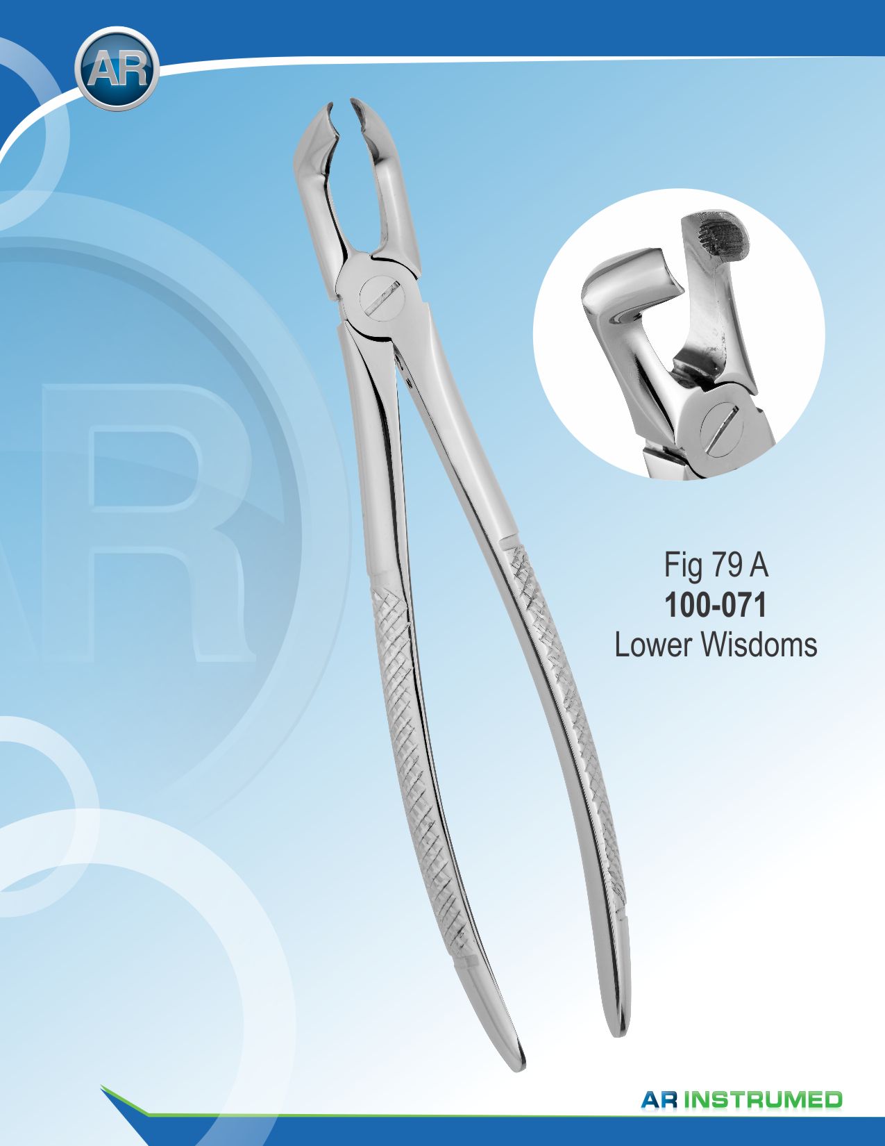 Fig.79A Lower Wisdoms 18cm