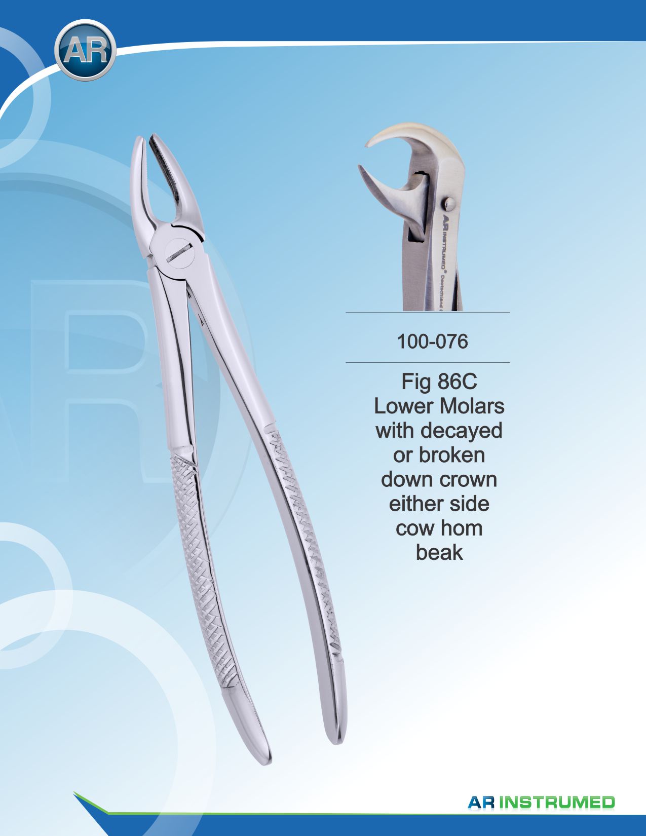 Fig.86C Lower Molars Cow Hom Beak