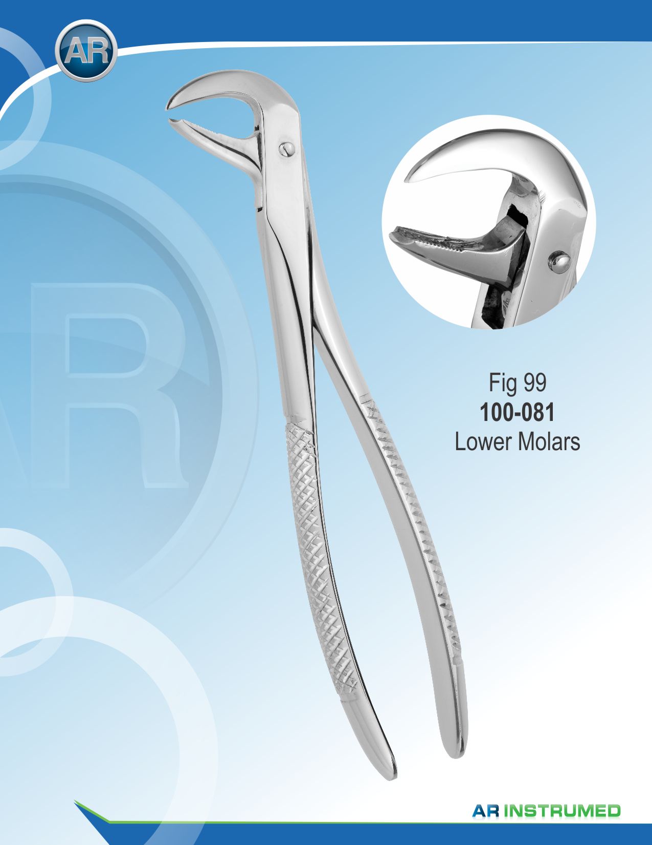 Fig.99 Lower Molars