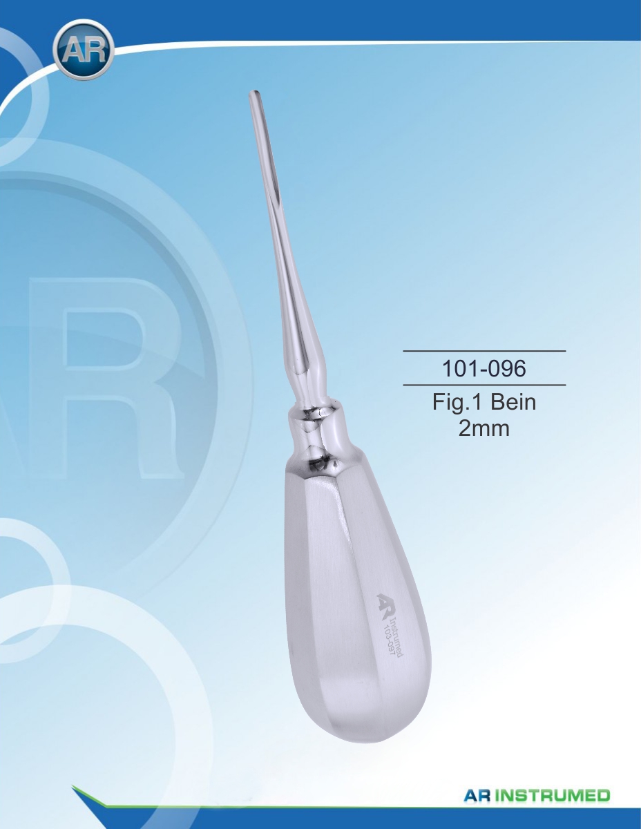 Fig.1 Bein 2mm
