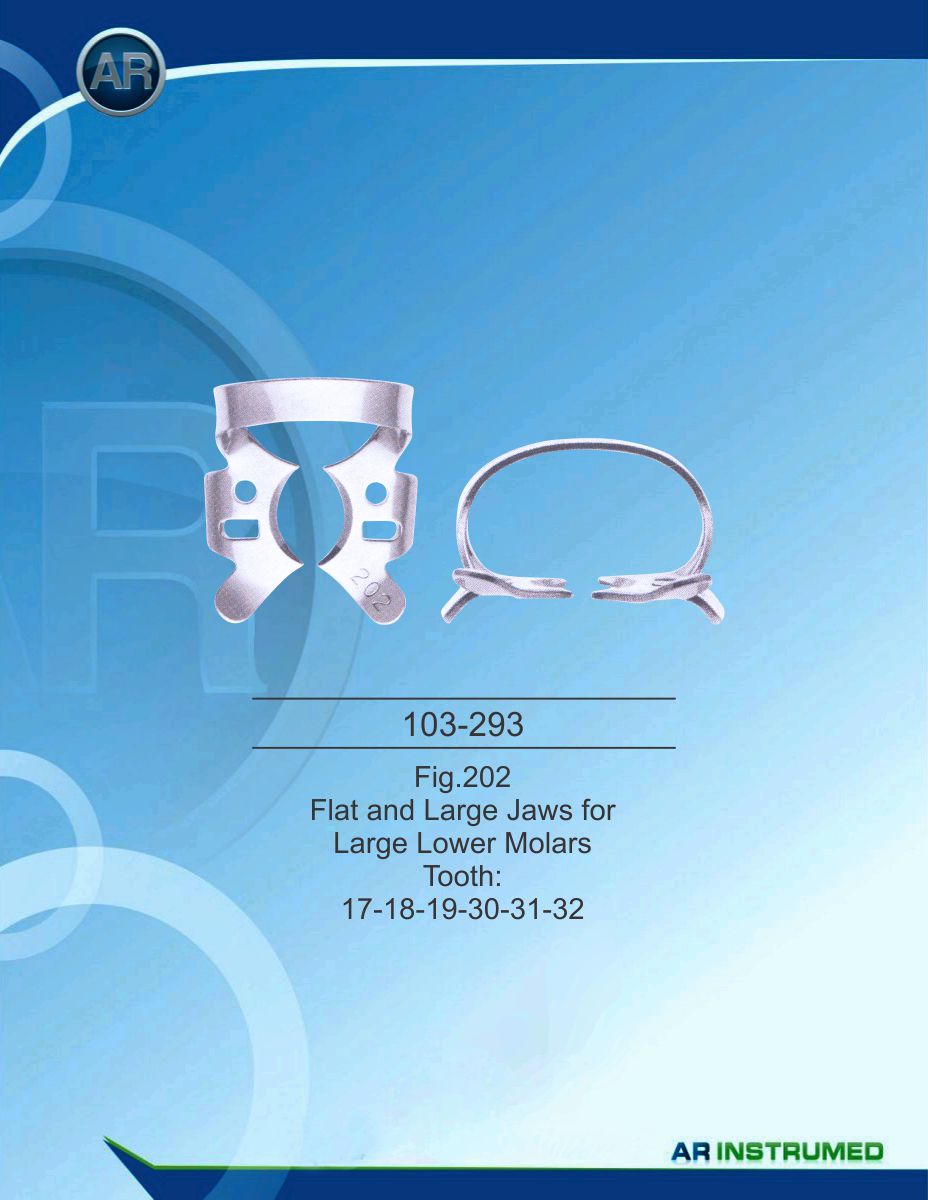 Fig.202 Flat and Large Jaws for Large Lower Molars Tooth 17-18-19-30-31-32