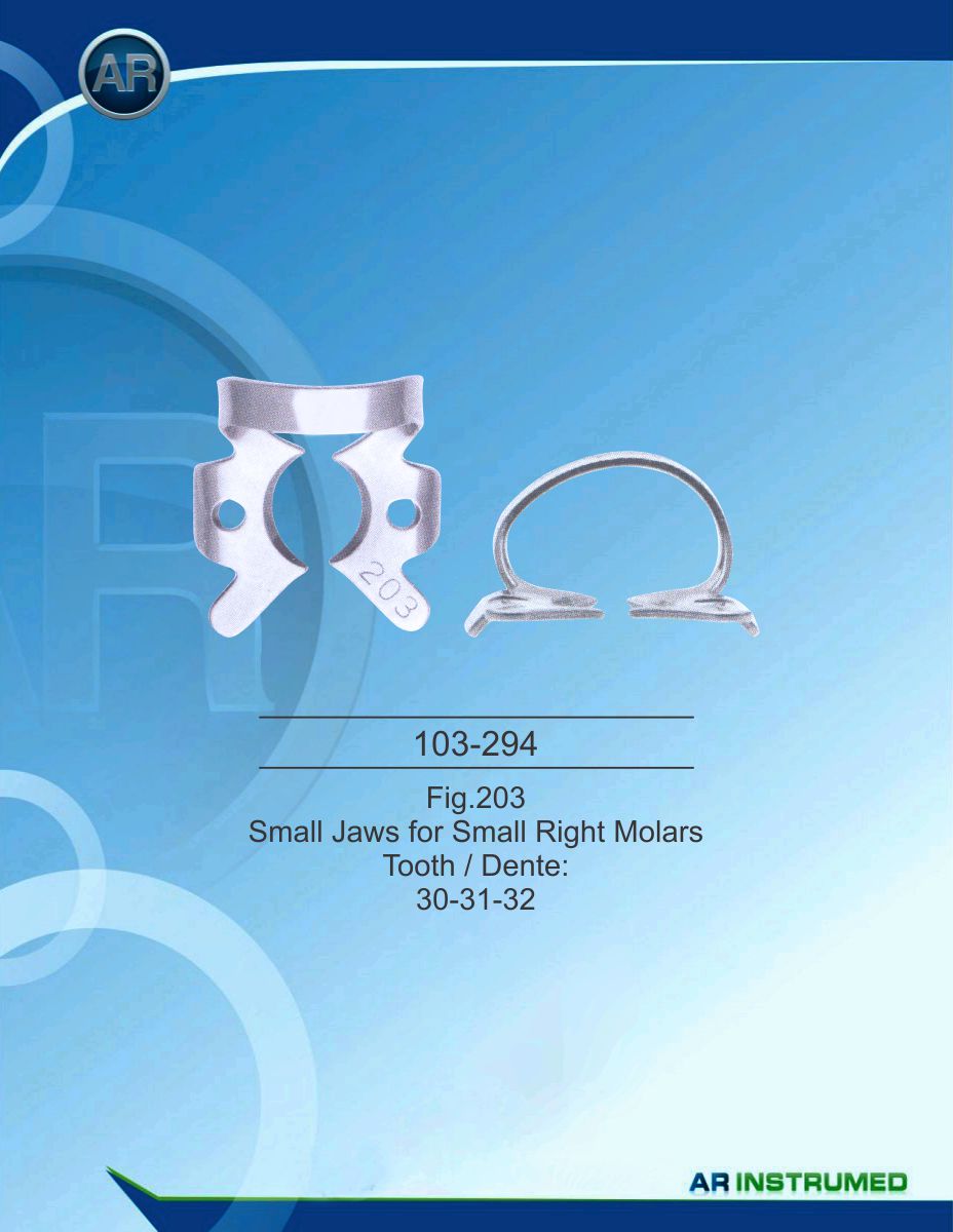 Fig.203 Small Jaws for Small Right Molars Tooth/Dente 30-31-32