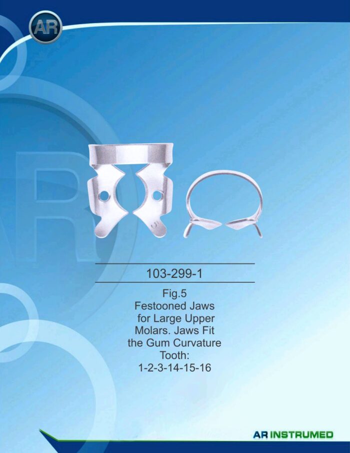 Fig.5 Festooned Jaws for Large Upper Molars. Jaws Fit the Gum Curvature Tooth 1-2-3-14-15-16