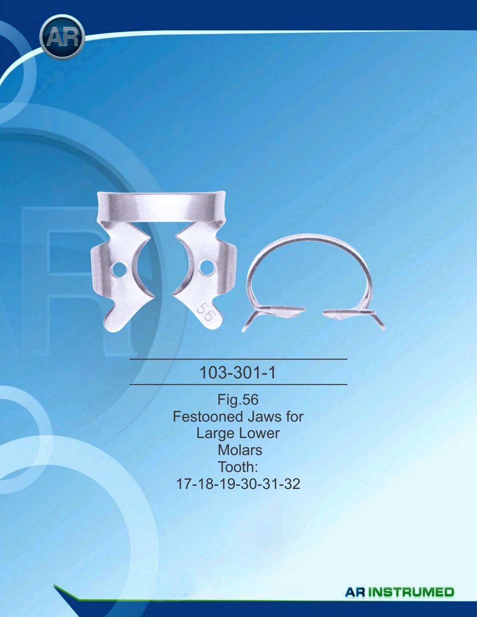 Fig.56 Festooned Jaws for Large Lower Molars Tooth 17-18-19-30-31-32