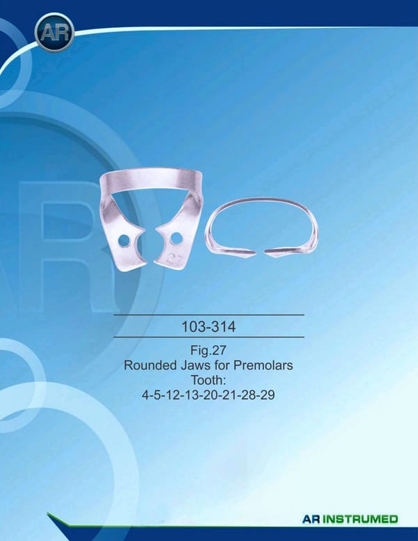 Rounded Jaws For Premolars Tooth : 4-5-12-13-20-21-28-29