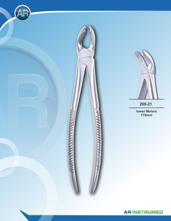 Lower Molars 17cm