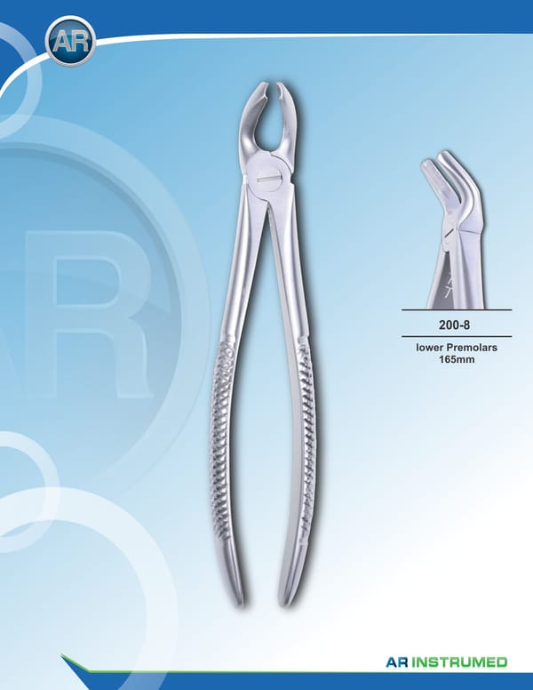 Lower Premolars 16.5cm