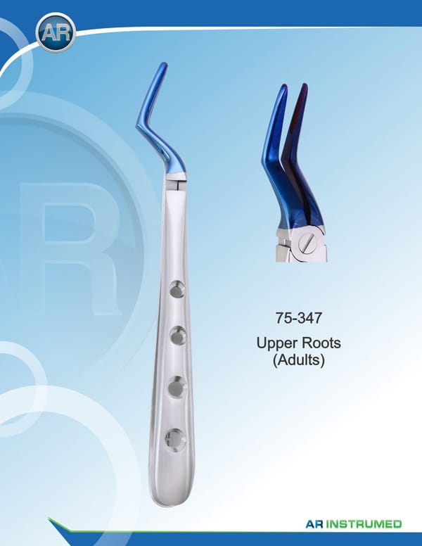 Upper Roots (Adults)
