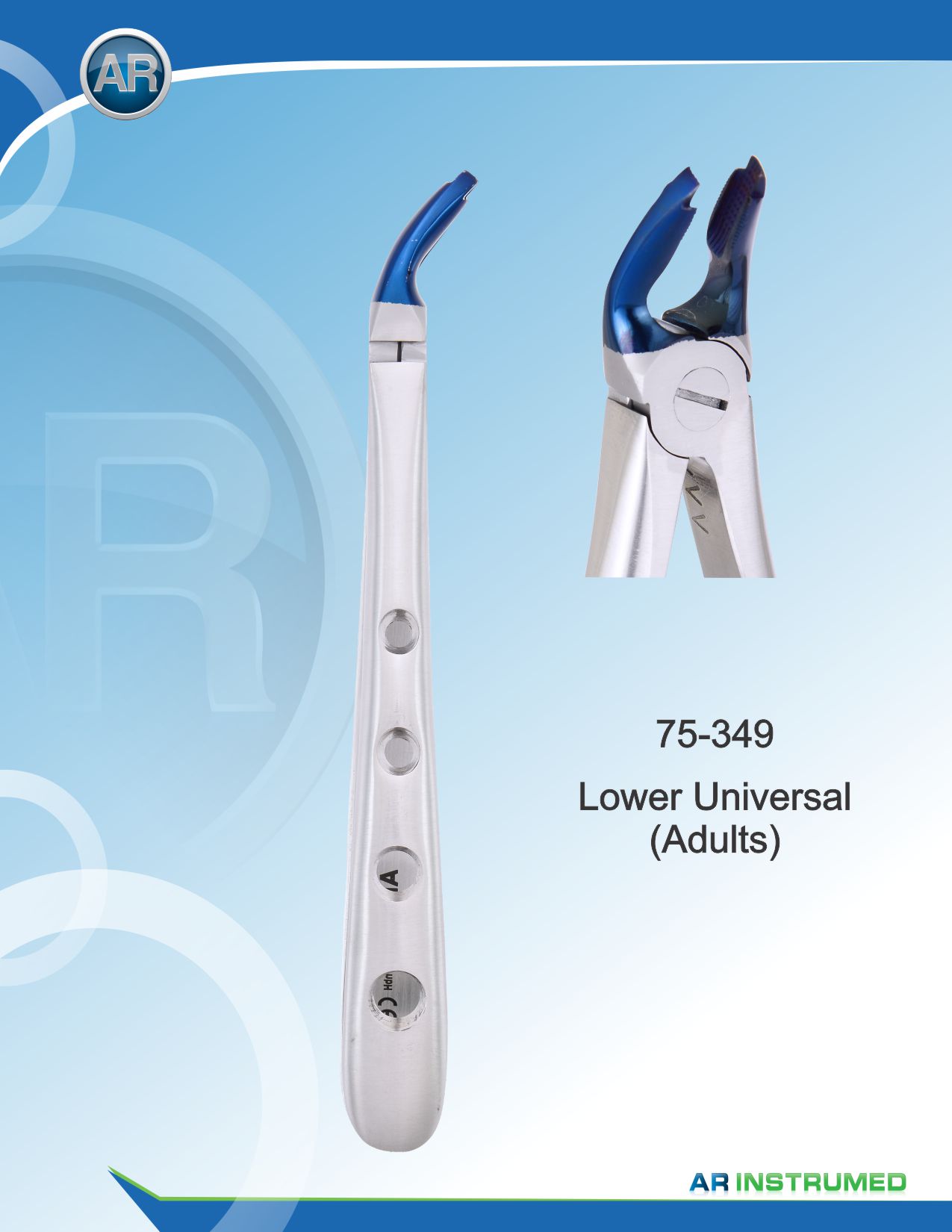 Lower Universal (Adults)