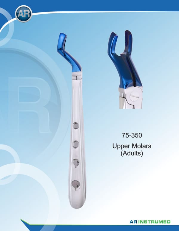 Upper Molars (Adults)
