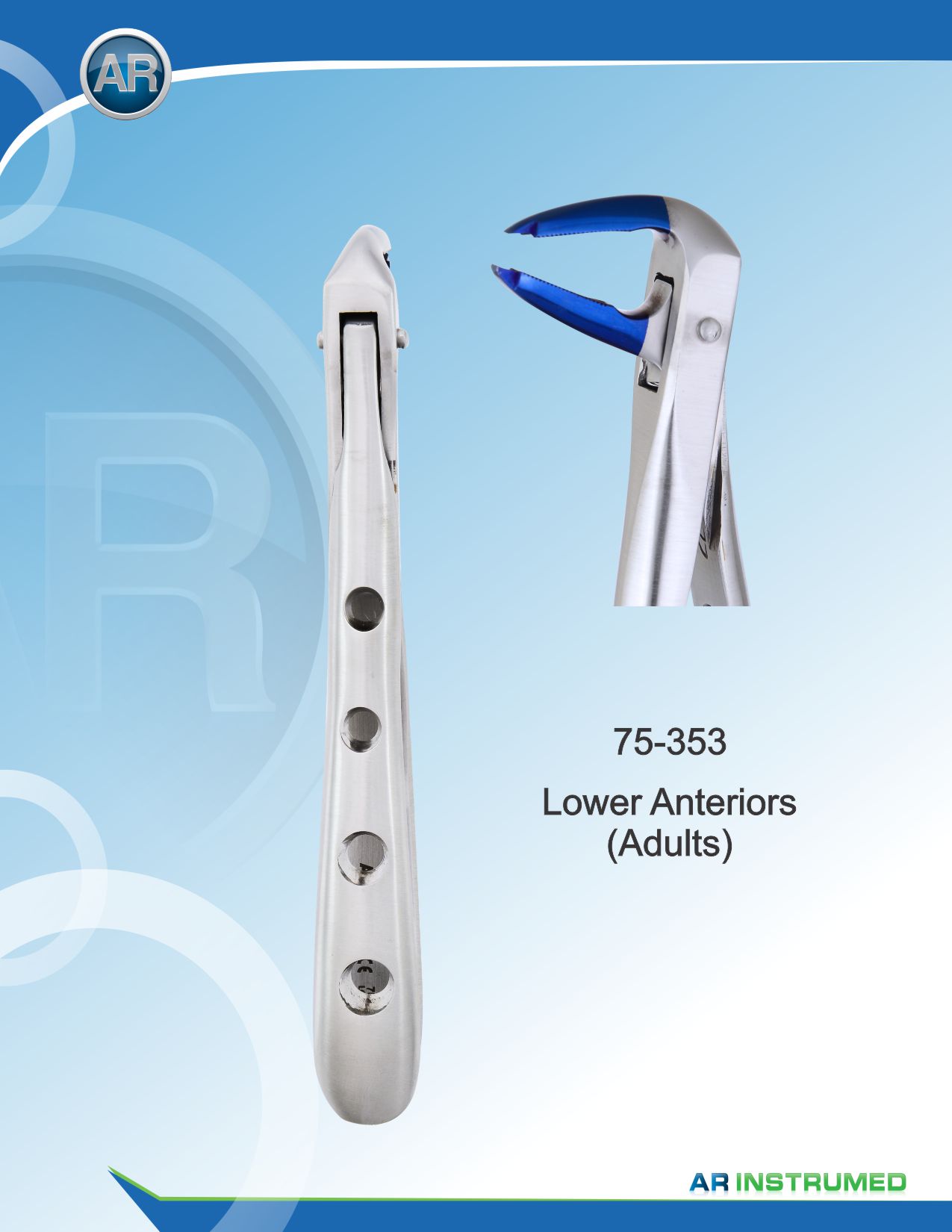 Lower Anteriors (Adults)