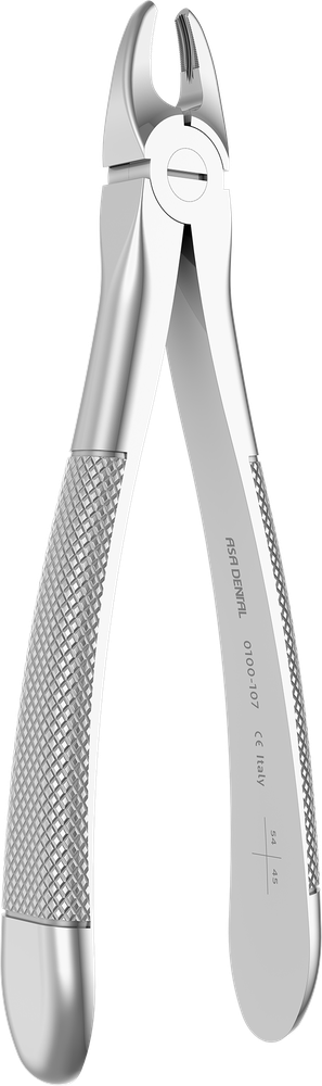 canini superiori - 16,6 cm - con profilo ritentivo